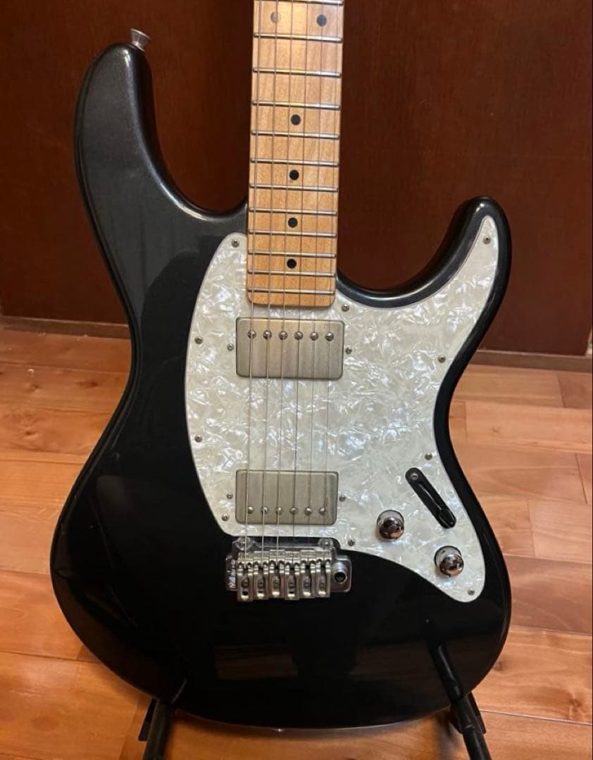 FERNANDES Regulus youモデル（Janne Da Arc）