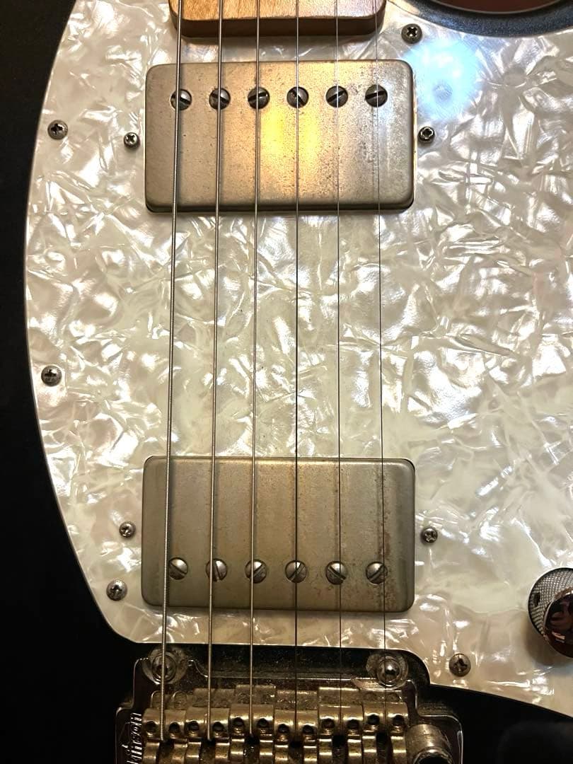 FERNANDES Regulus youモデル（Janne Da Arc）