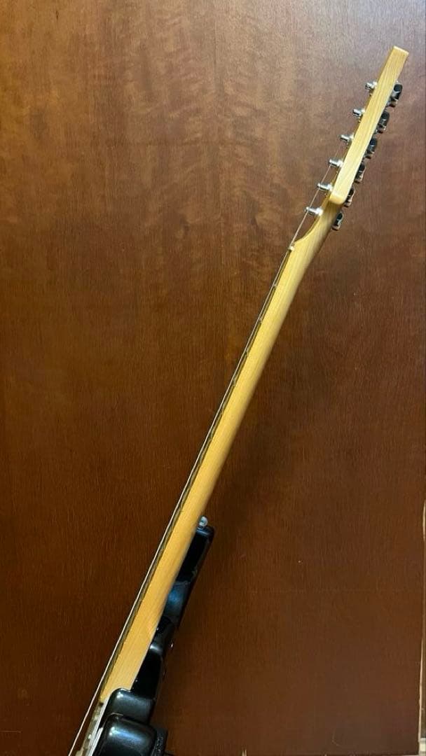 FERNANDES Regulus youモデル（Janne Da Arc）