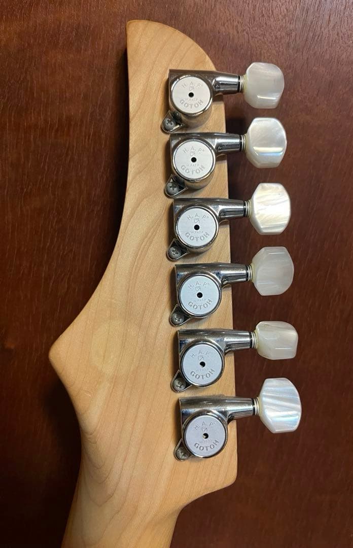 FERNANDES Regulus youモデル（Janne Da Arc）