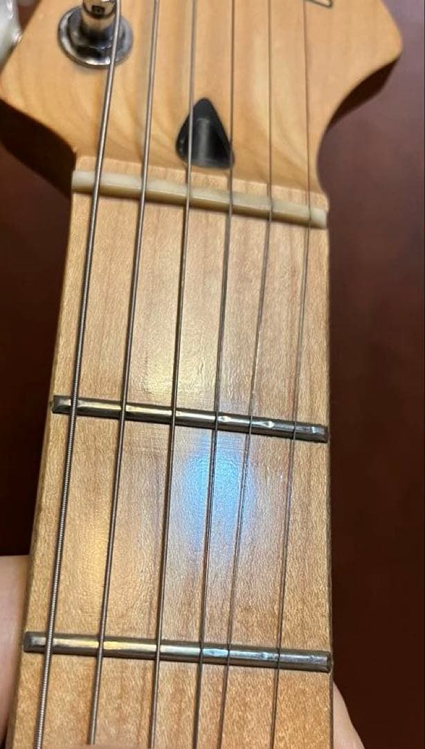 FERNANDES Regulus youモデル（Janne Da Arc）