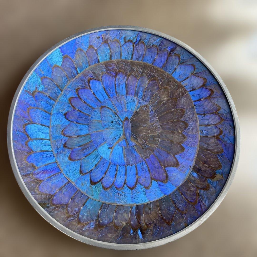 モルフォ蝶・飾り皿