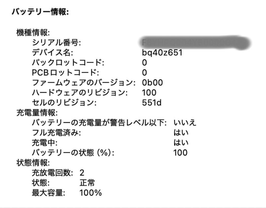 M4 MacBook Air 2025 256GB 16GB 13“スカイブルー