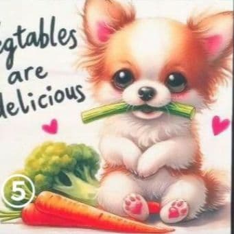 ななちゃん様確認用②