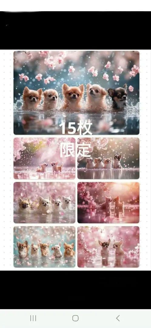 ななちゃん様確認用②