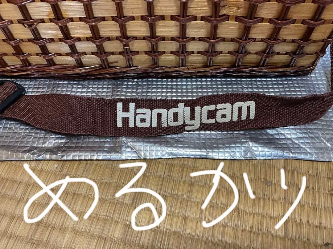 SONY・ハンディカム・スタミナランチバスケット【懸賞品、新品、未使用品】。