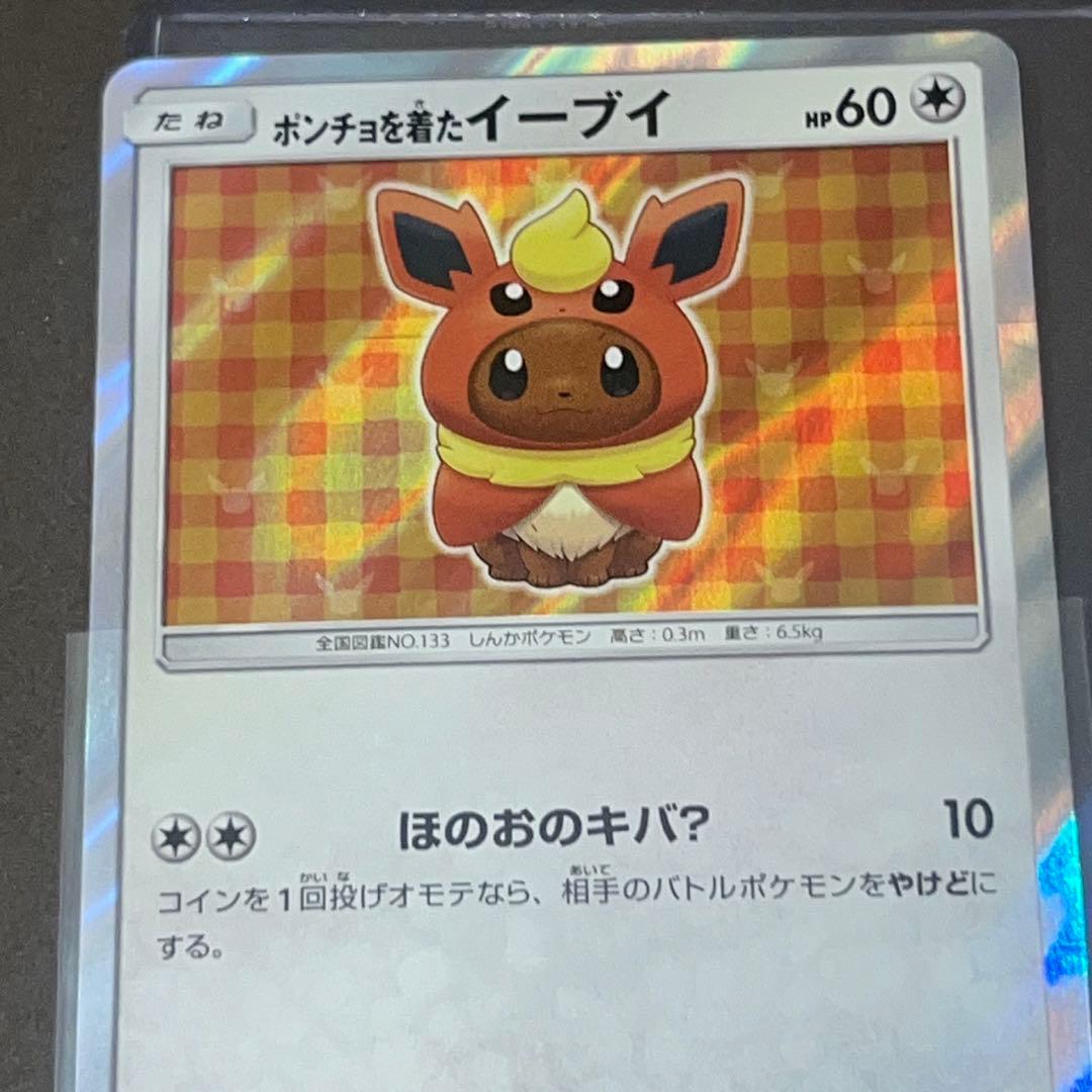 ポケモンカード ポンチョを着たイーブイ ブースター プロモ