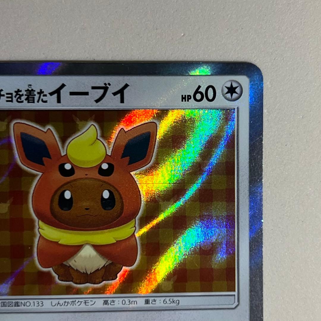 ポケモンカード ポンチョを着たイーブイ ブースター プロモ