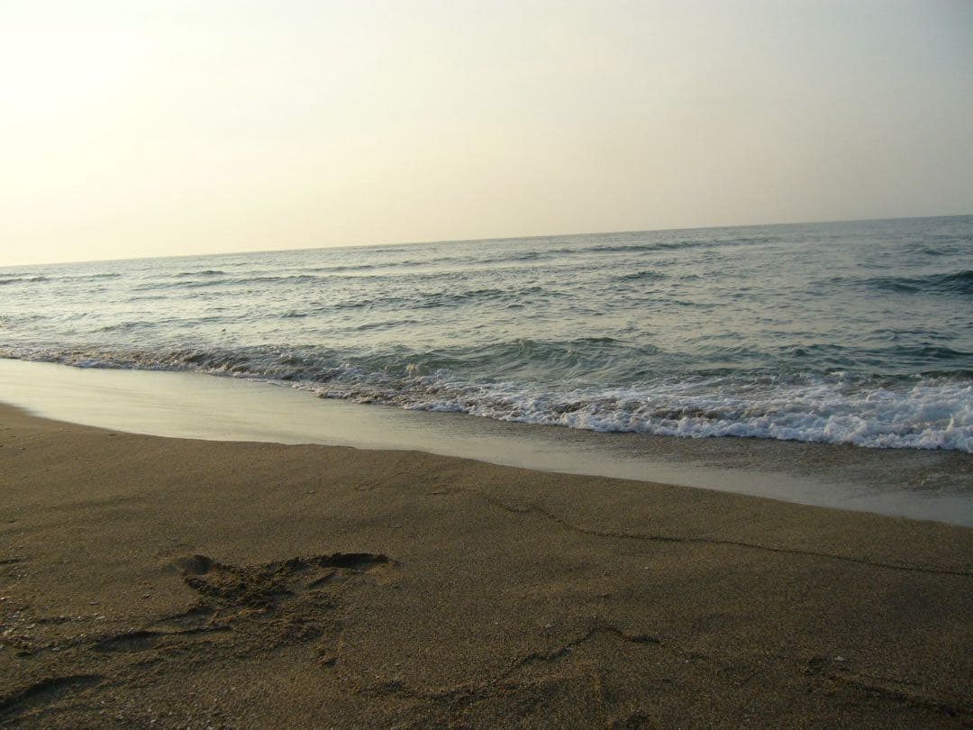 「基本動作確認済」デジタルカメラ パナソニック Lumix DMC-FX9