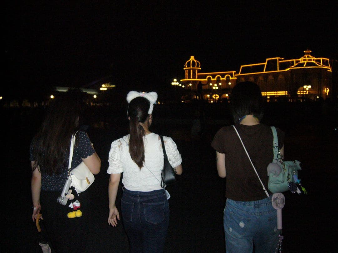 「基本動作確認済」デジタルカメラ パナソニック Lumix DMC-FX9