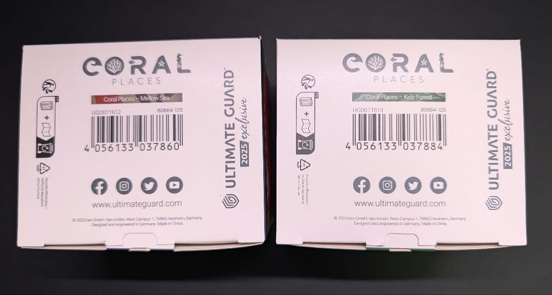 Ultimate Guard SideWinder100+ 2025EX 2個