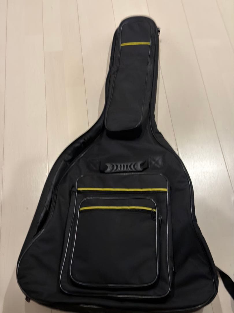 フレイムメイプルトップ エレキギター IMP24 FMH-RSM/M