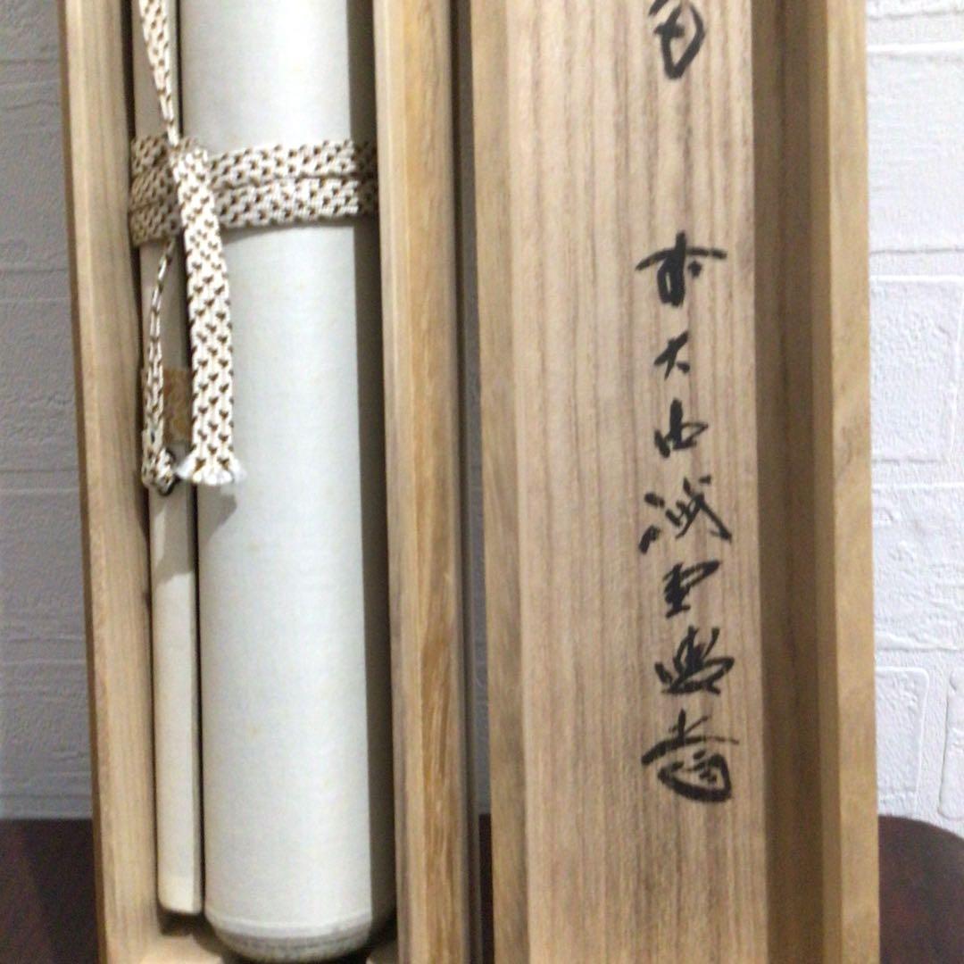 Ｎ２３９　掛軸　大徳寺　藤井誡堂　『松無古今色』　共箱　『真作』　肉筆　一行書