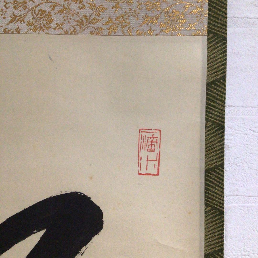 Ｎ２３９　掛軸　大徳寺　藤井誡堂　『松無古今色』　共箱　『真作』　肉筆　一行書