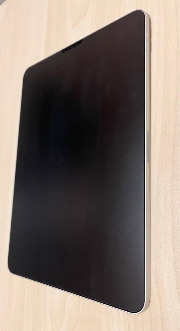【美品】iPad Pro 11インチ 第2世代 Wi-Fi 128GB シルバー