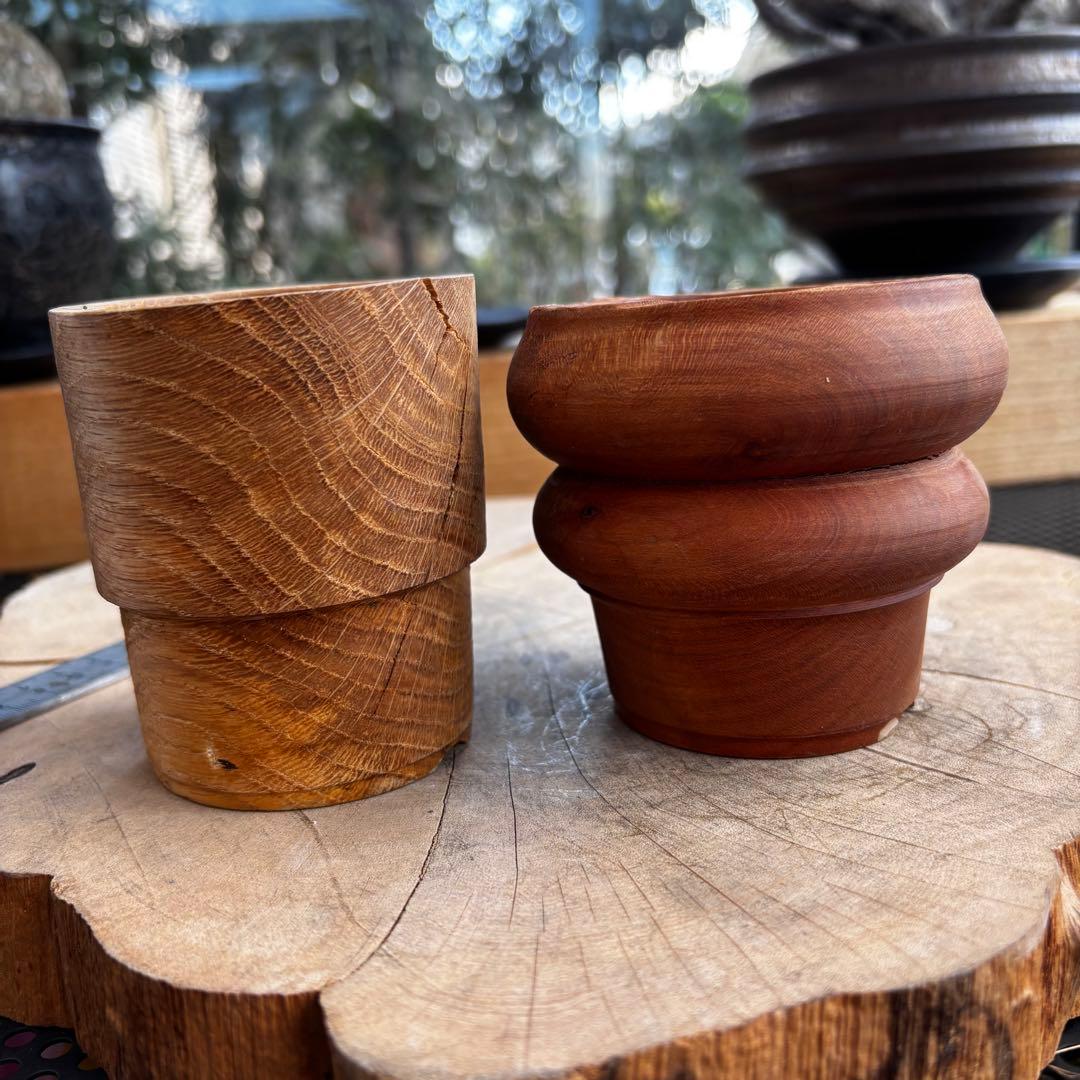 美品 カワモトアカジニ ICHIGU 作家鉢 アガベ パキプス グラキリス 1