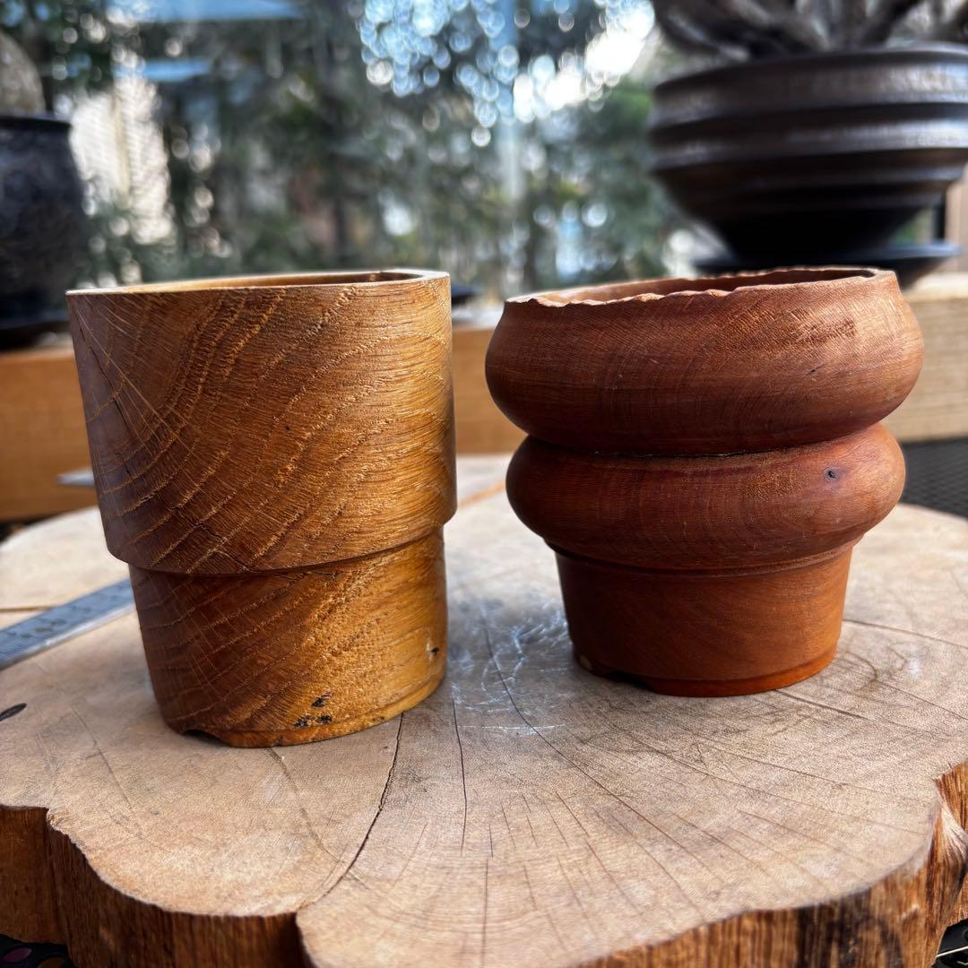 美品 カワモトアカジニ ICHIGU 作家鉢 アガベ パキプス グラキリス 1