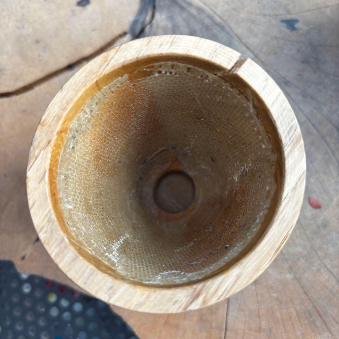 美品 カワモトアカジニ ICHIGU 作家鉢 アガベ パキプス グラキリス 1