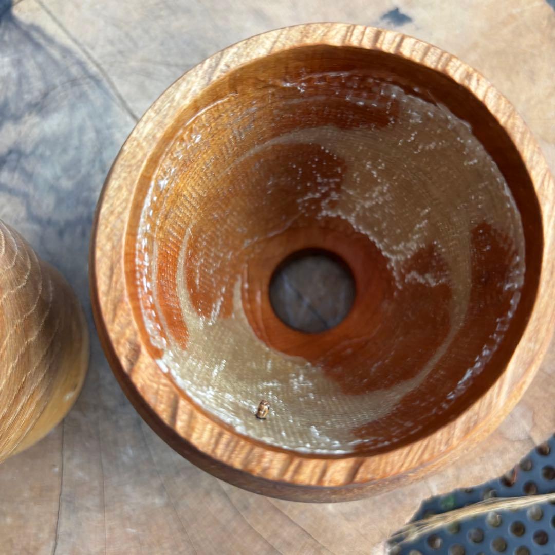 美品 カワモトアカジニ ICHIGU 作家鉢 アガベ パキプス グラキリス 1