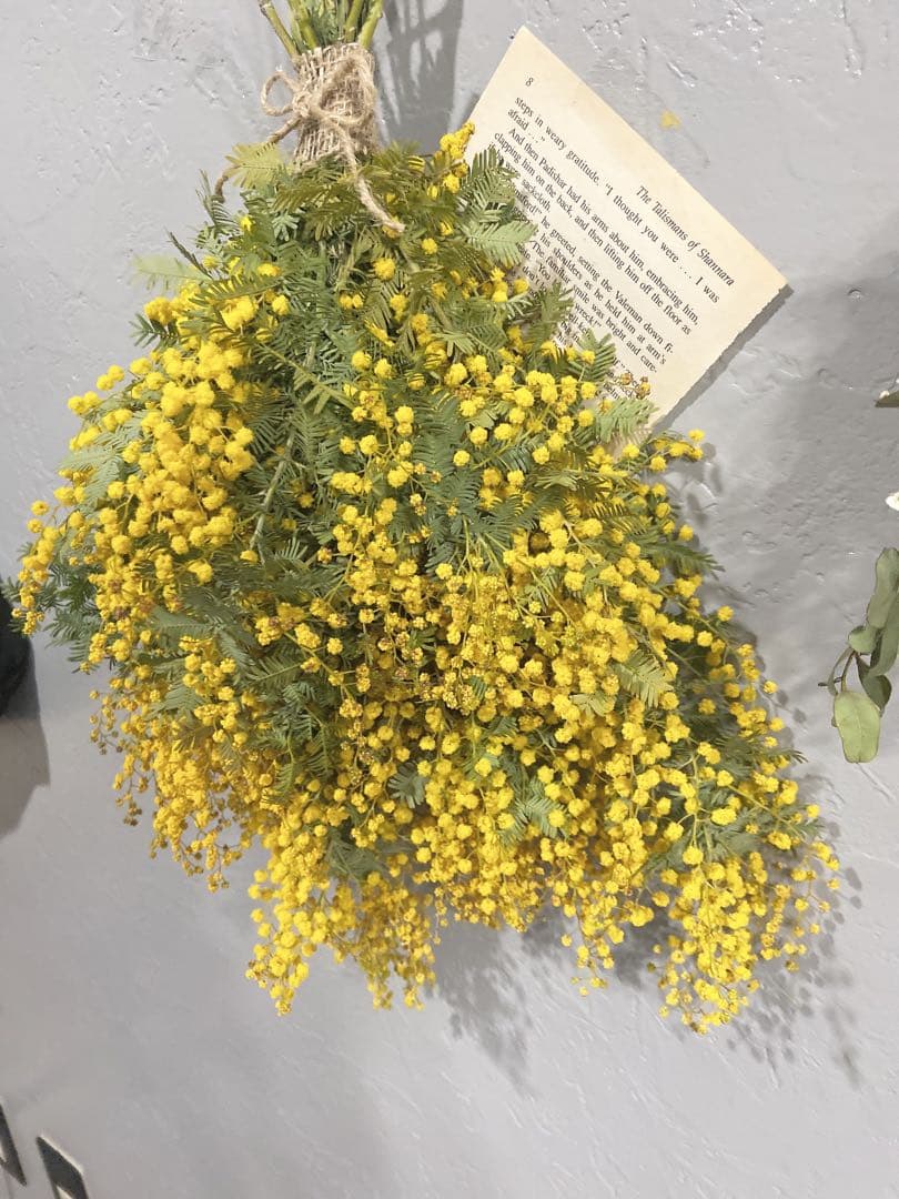 ミモザスワッグ