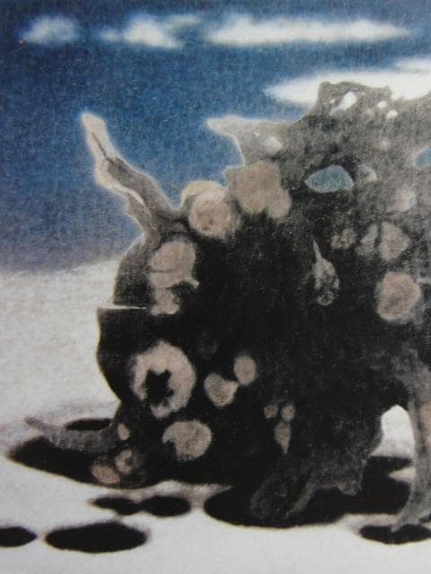 岩橋英遠、「根と雲たち」、希少な画集より、 新品高級額装付、日本人画家