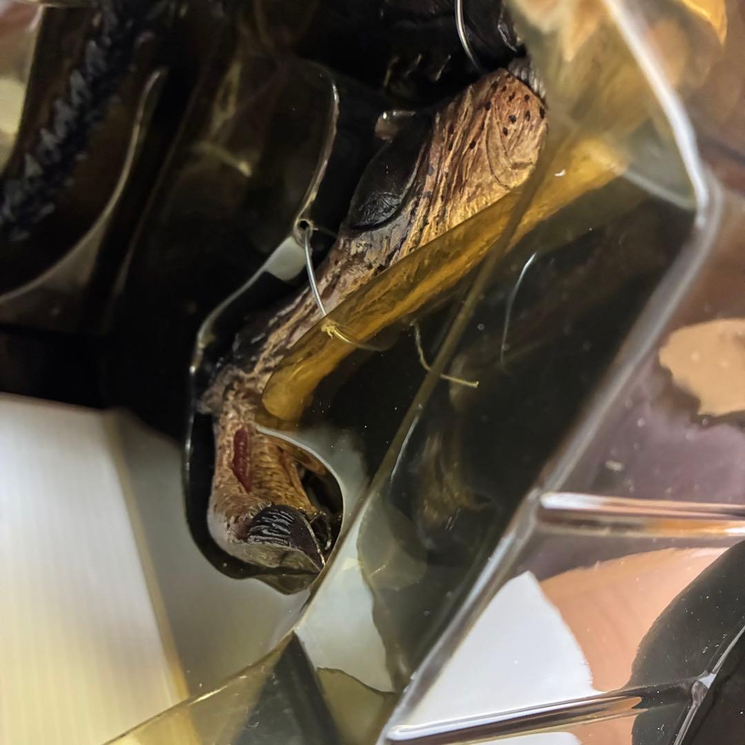 ホットトイズ　プレデリアン ダメージ版 AVP2 限定　輸送箱付　コレクター