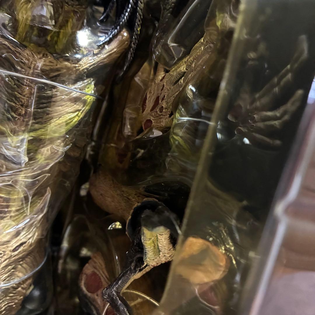 ホットトイズ　プレデリアン ダメージ版 AVP2 限定　輸送箱付　コレクター