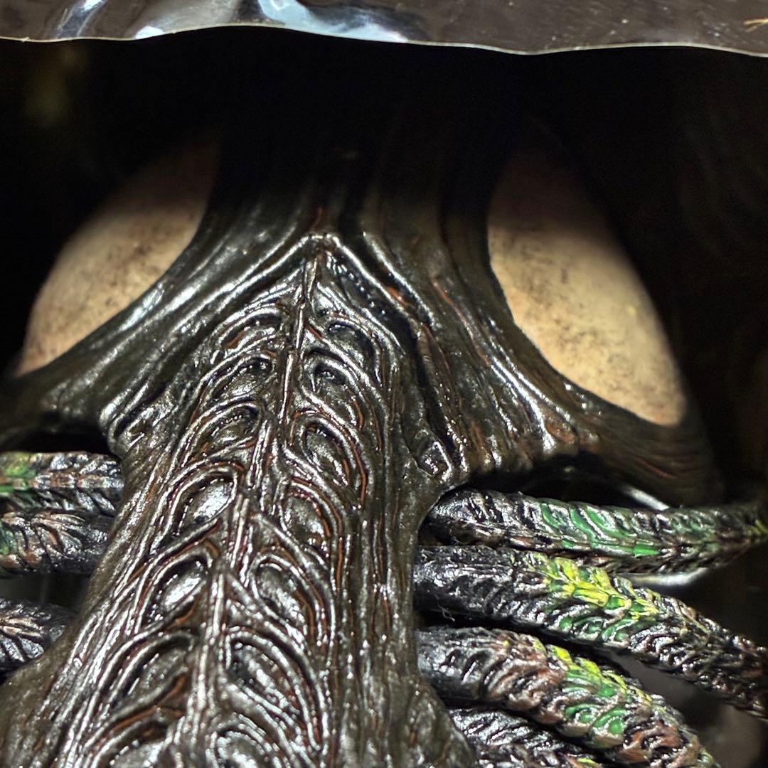 ホットトイズ　プレデリアン ダメージ版 AVP2 限定　輸送箱付　コレクター