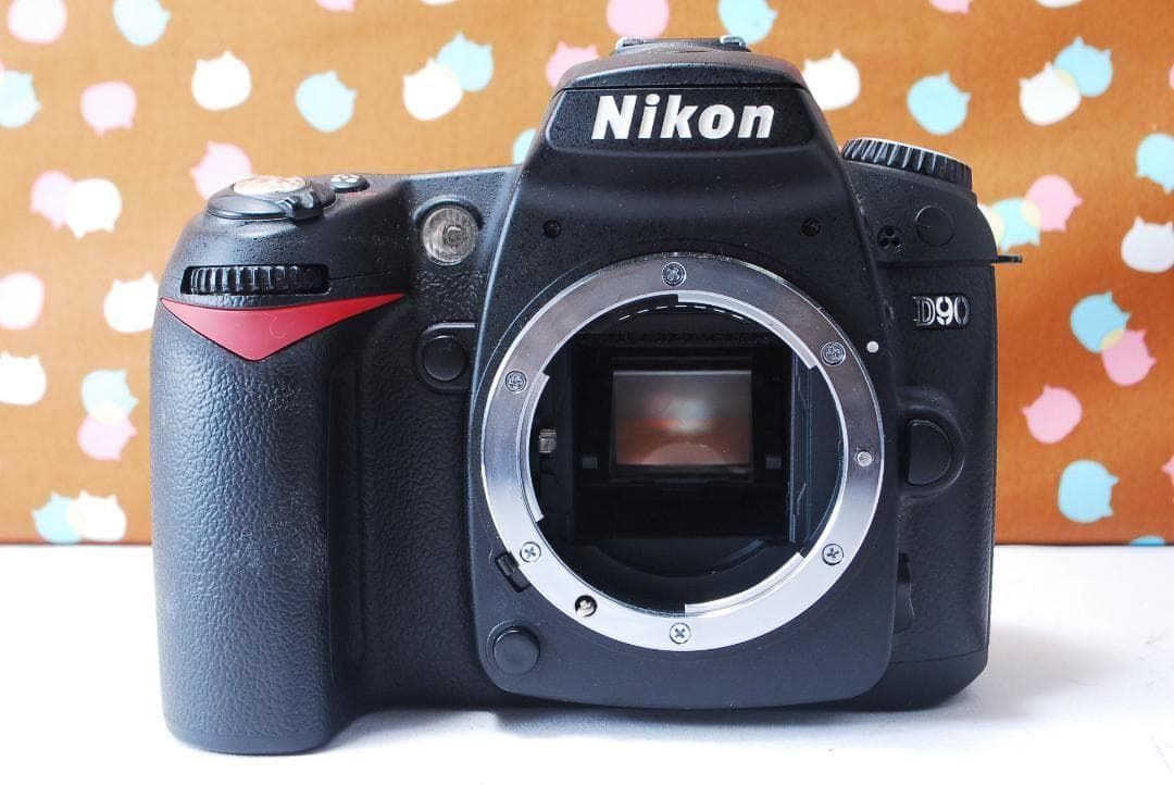 ✨ショット回数1978回✨望遠レンズセット✨Nikon D90 レンズセット