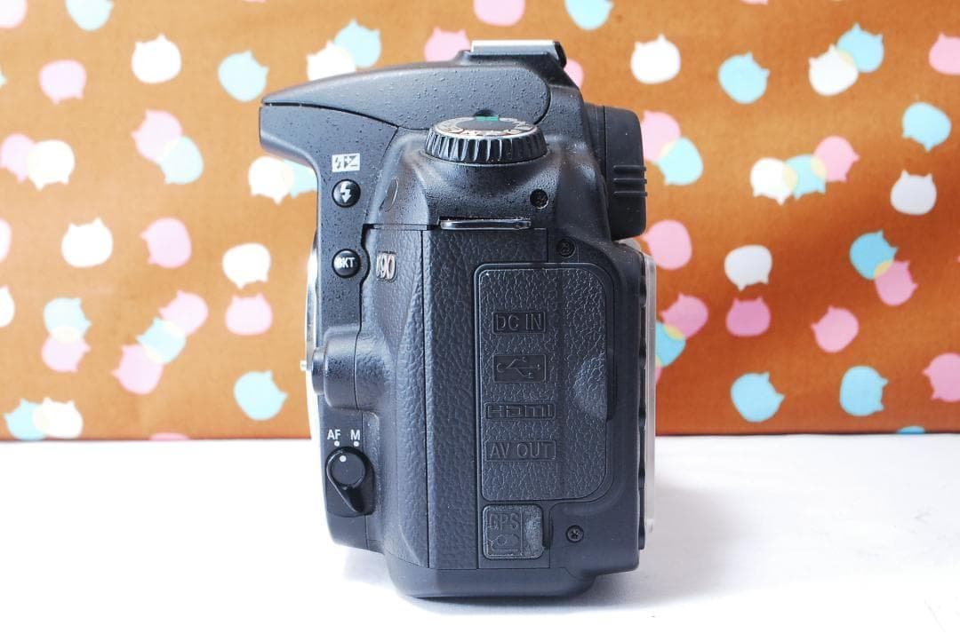 ✨ショット回数1978回✨望遠レンズセット✨Nikon D90 レンズセット