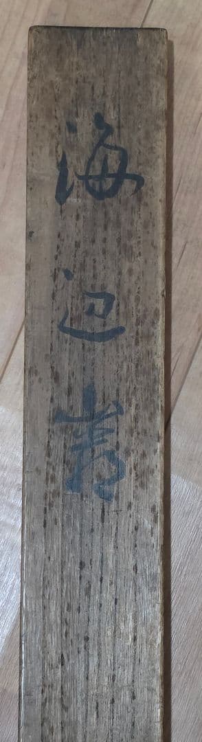 【海辺風景図】尾竹国観 1021 共箱 北陸 掛け軸 肉筆