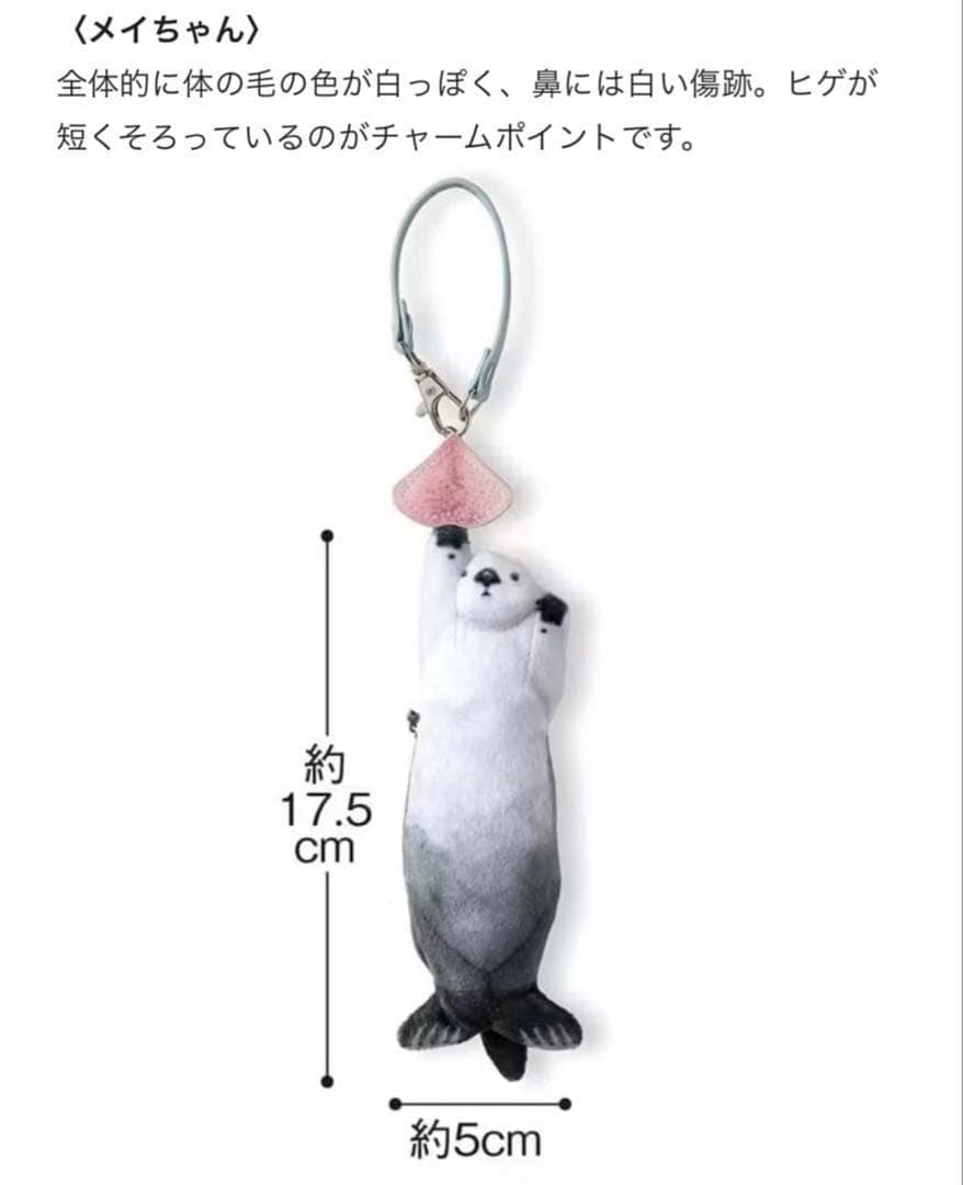 【鳥羽水族館】　元気にイカ耳ジャンプ　ラッコ　キーポーチ