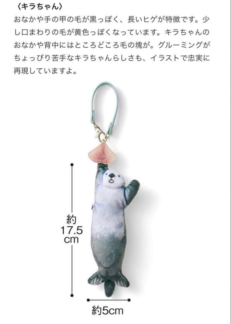 【鳥羽水族館】　元気にイカ耳ジャンプ　ラッコ　キーポーチ