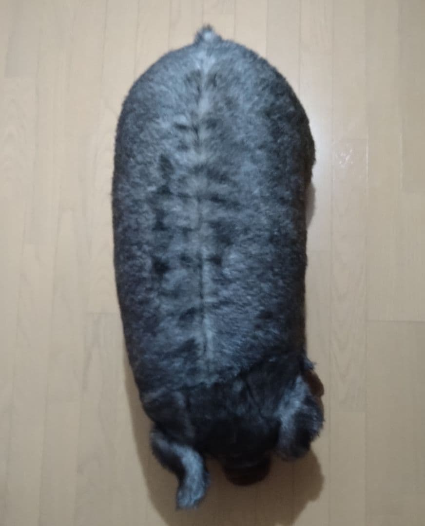 ぬいぐるみ セキグチ ぶた ブタ 豚