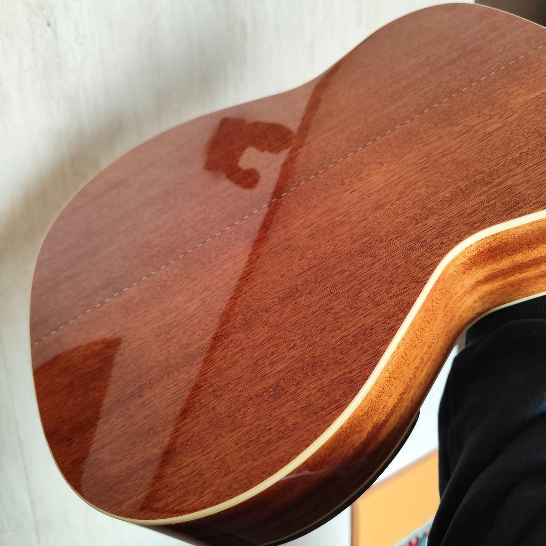 Cort Earth 200GC 3TS トップ＆バック単板 アームレスト仕様