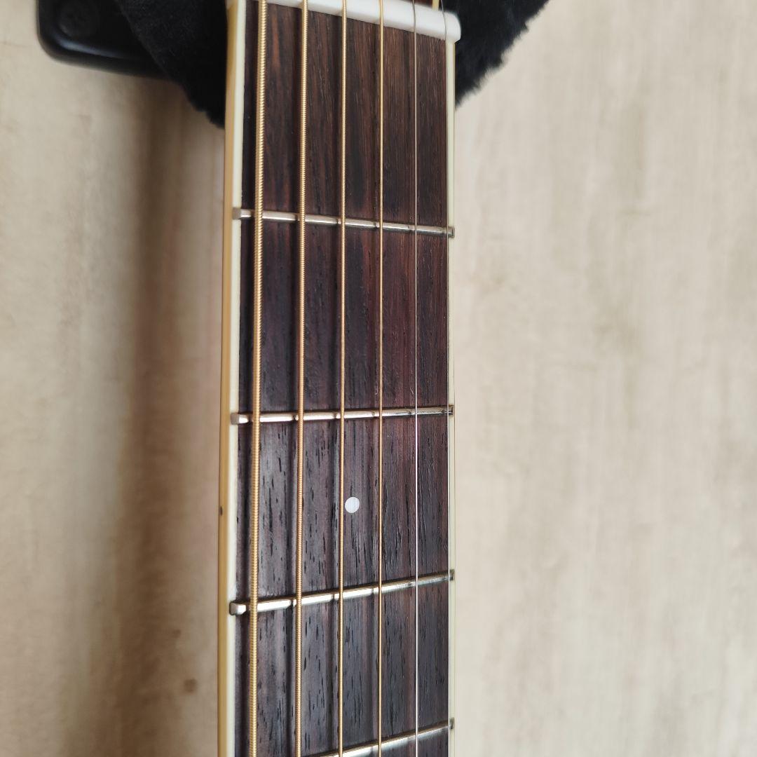 Cort Earth 200GC 3TS トップ＆バック単板 アームレスト仕様