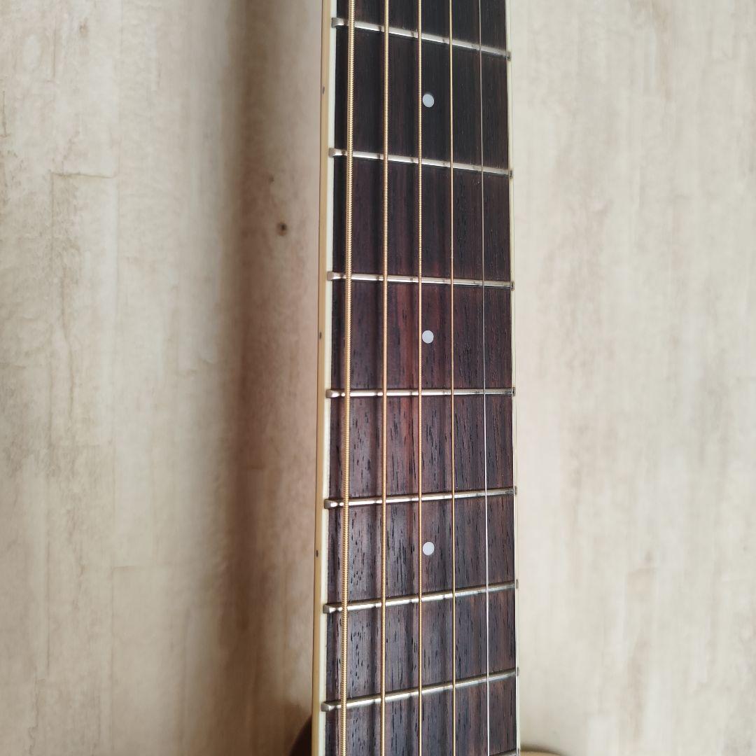 Cort Earth 200GC 3TS トップ＆バック単板 アームレスト仕様