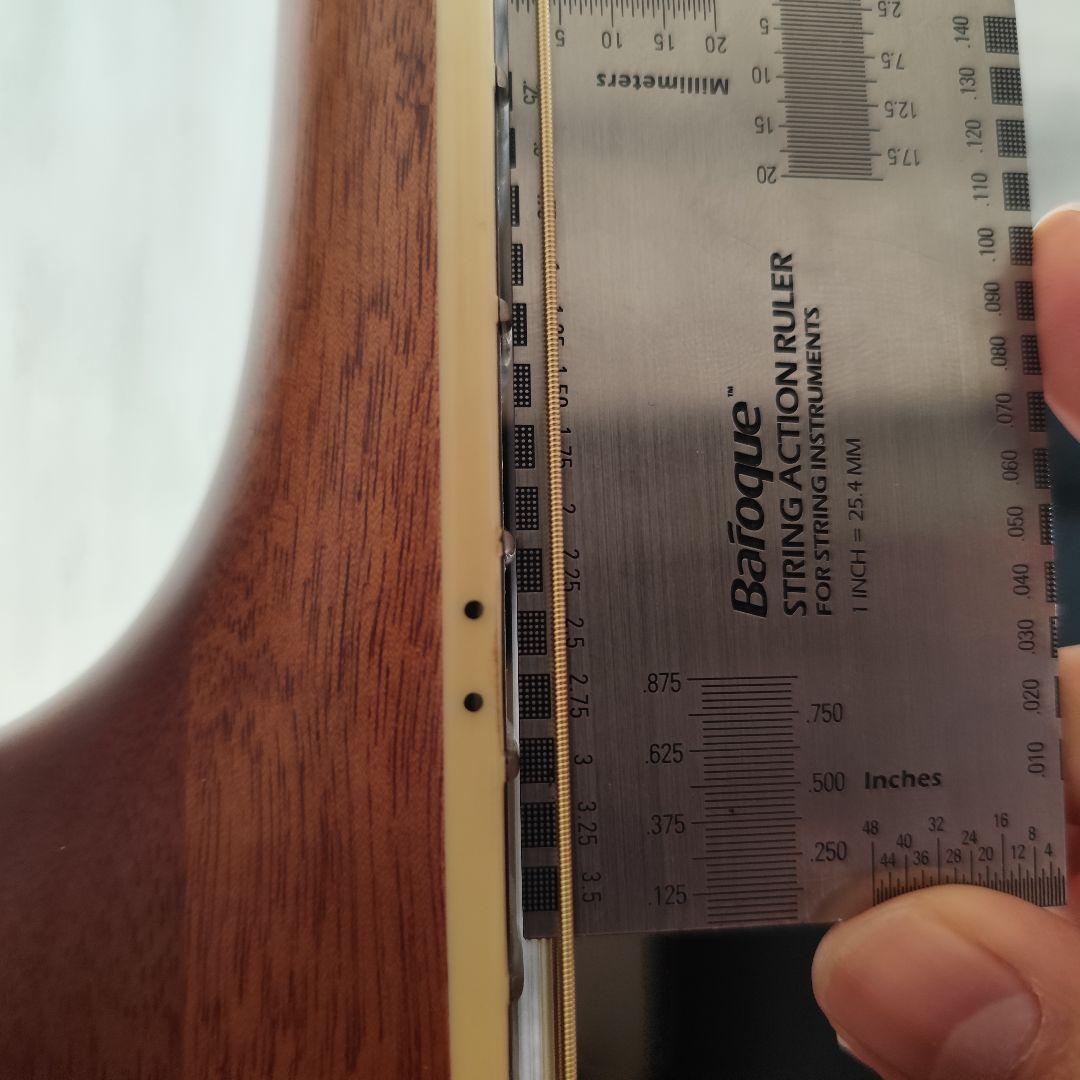 Cort Earth 200GC 3TS トップ＆バック単板 アームレスト仕様