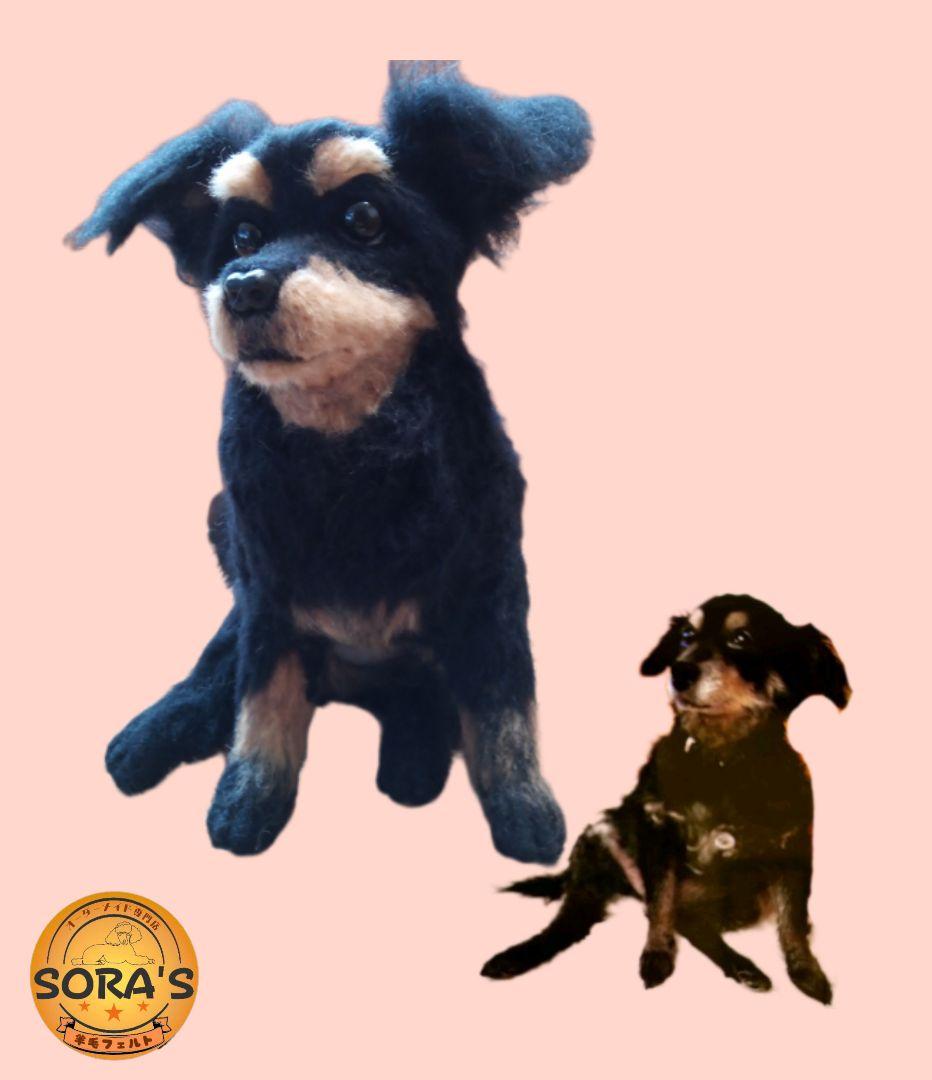 羊毛フェルトオーダー制作専門・ぬいぐるみ・わんちゃん