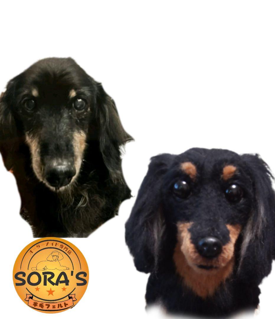 羊毛フェルトオーダー制作専門・ぬいぐるみ・わんちゃん