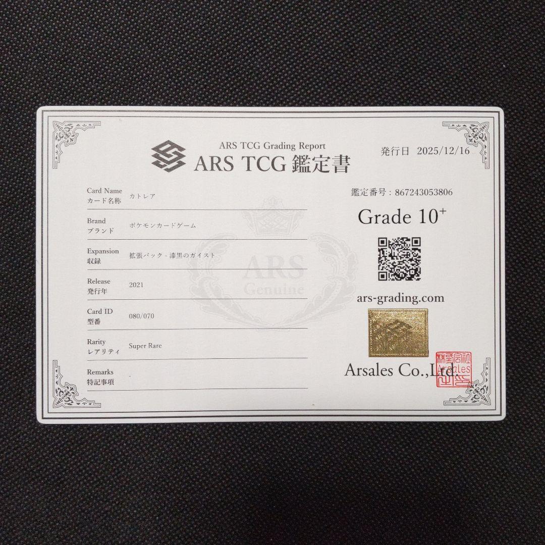 カトレア sr ARS10＋ PSA10以上