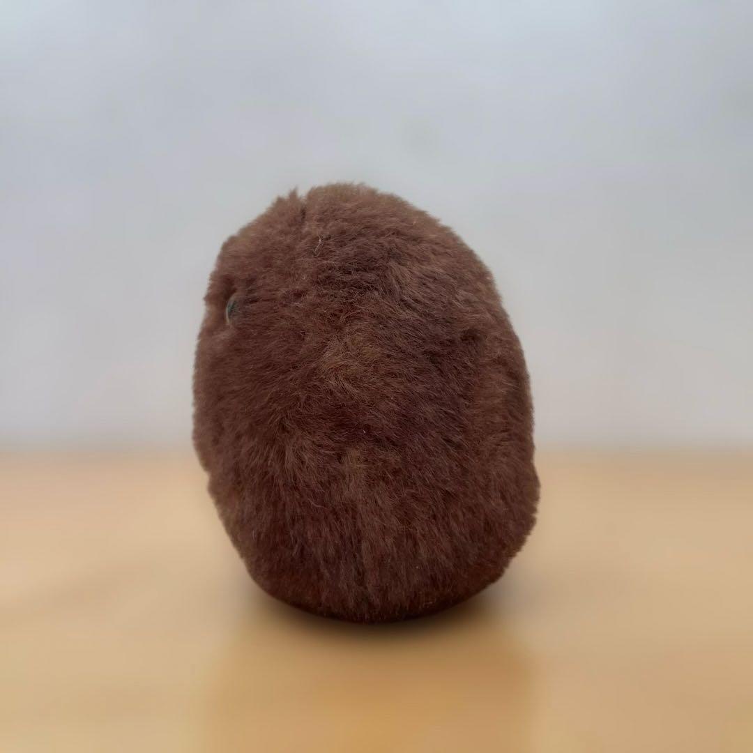 光線 CO-SEN ✴︎ Kiwi ✴︎ ぬいぐるみ