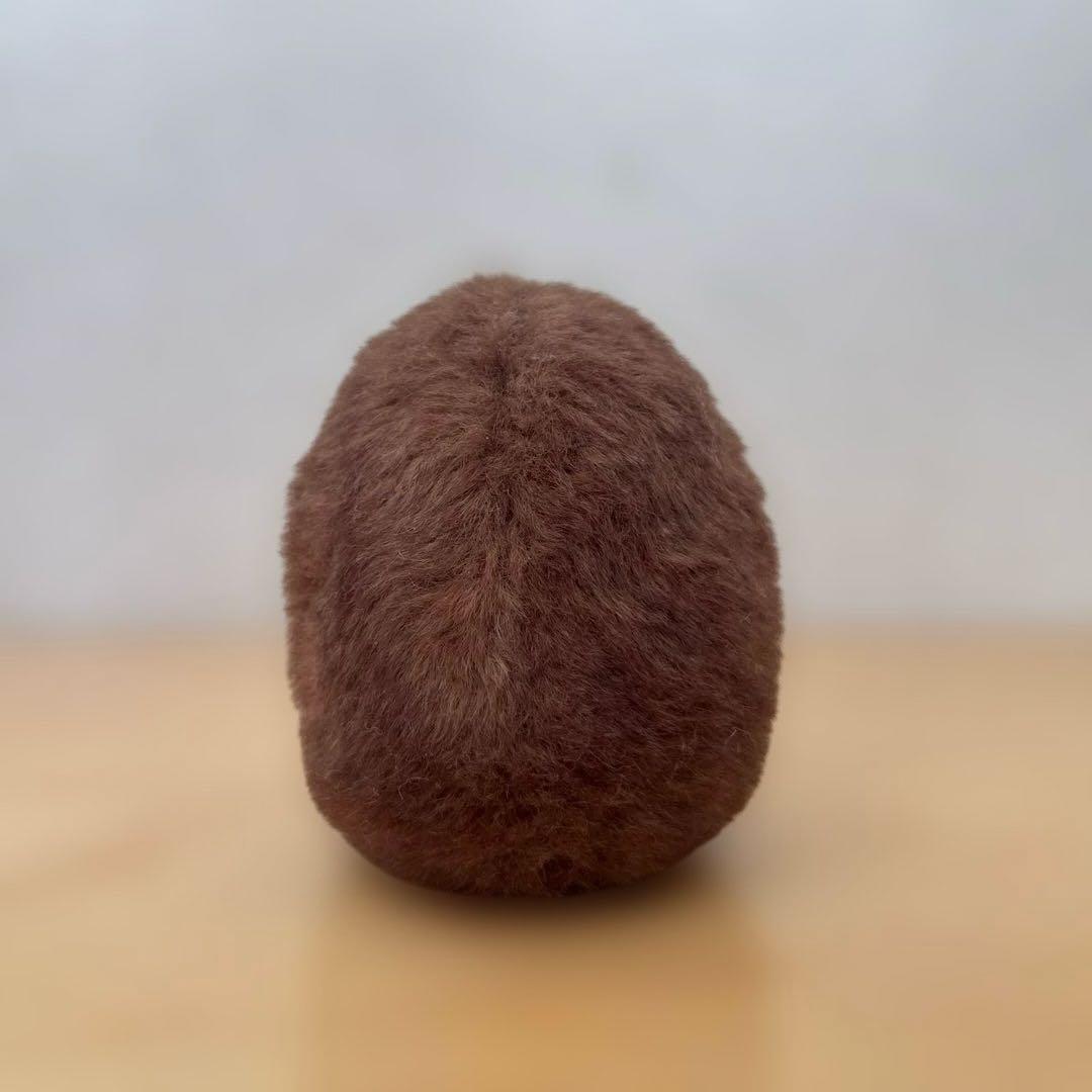 光線 CO-SEN ✴︎ Kiwi ✴︎ ぬいぐるみ