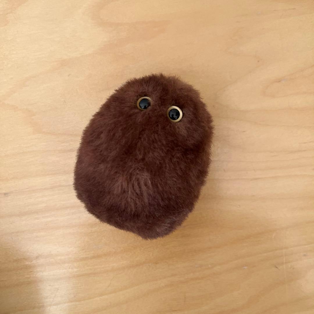光線 CO-SEN ✴︎ Kiwi ✴︎ ぬいぐるみ