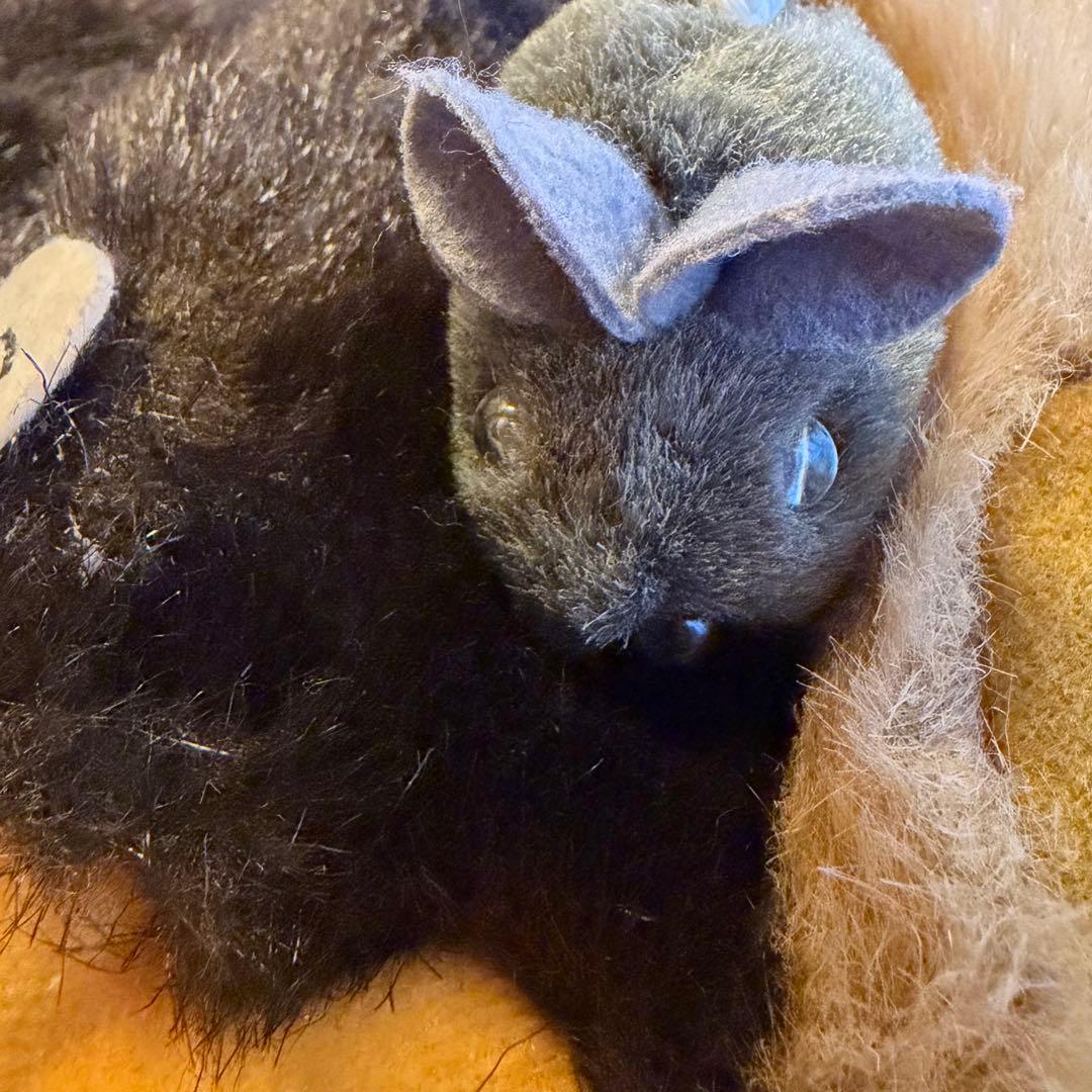 ジブリ　ネコバス　BOXティッシュケース