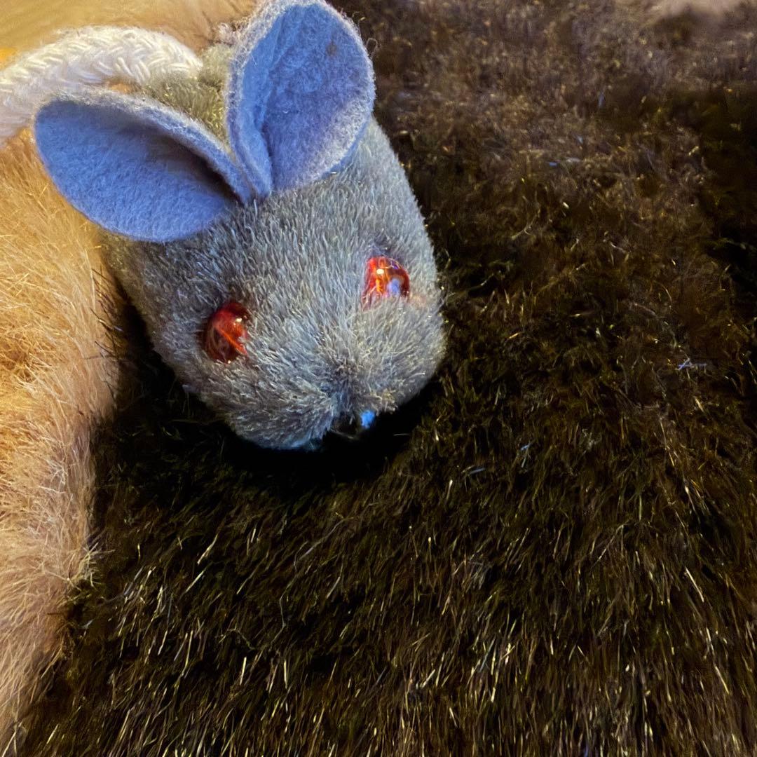 ジブリ　ネコバス　BOXティッシュケース