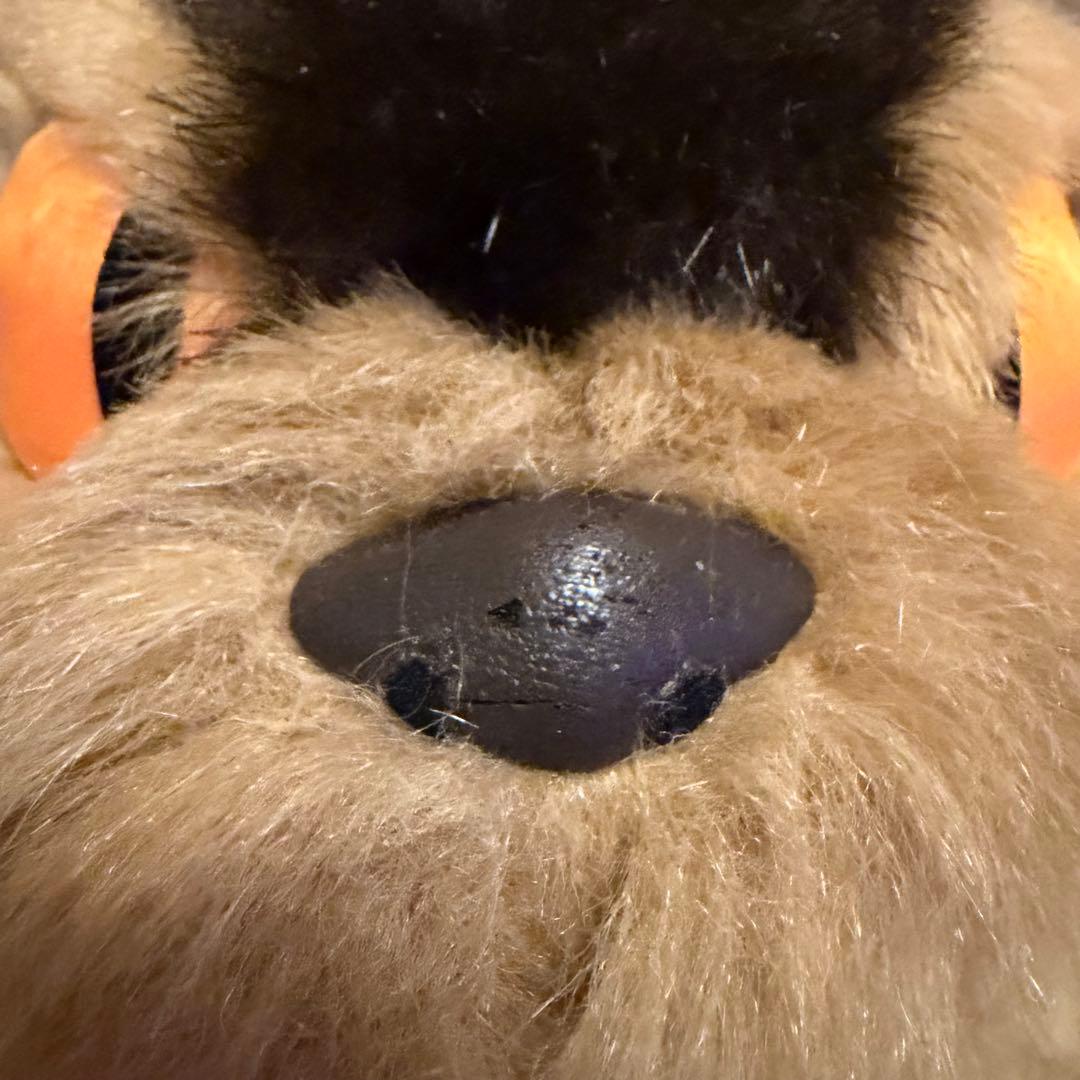 ジブリ　ネコバス　BOXティッシュケース