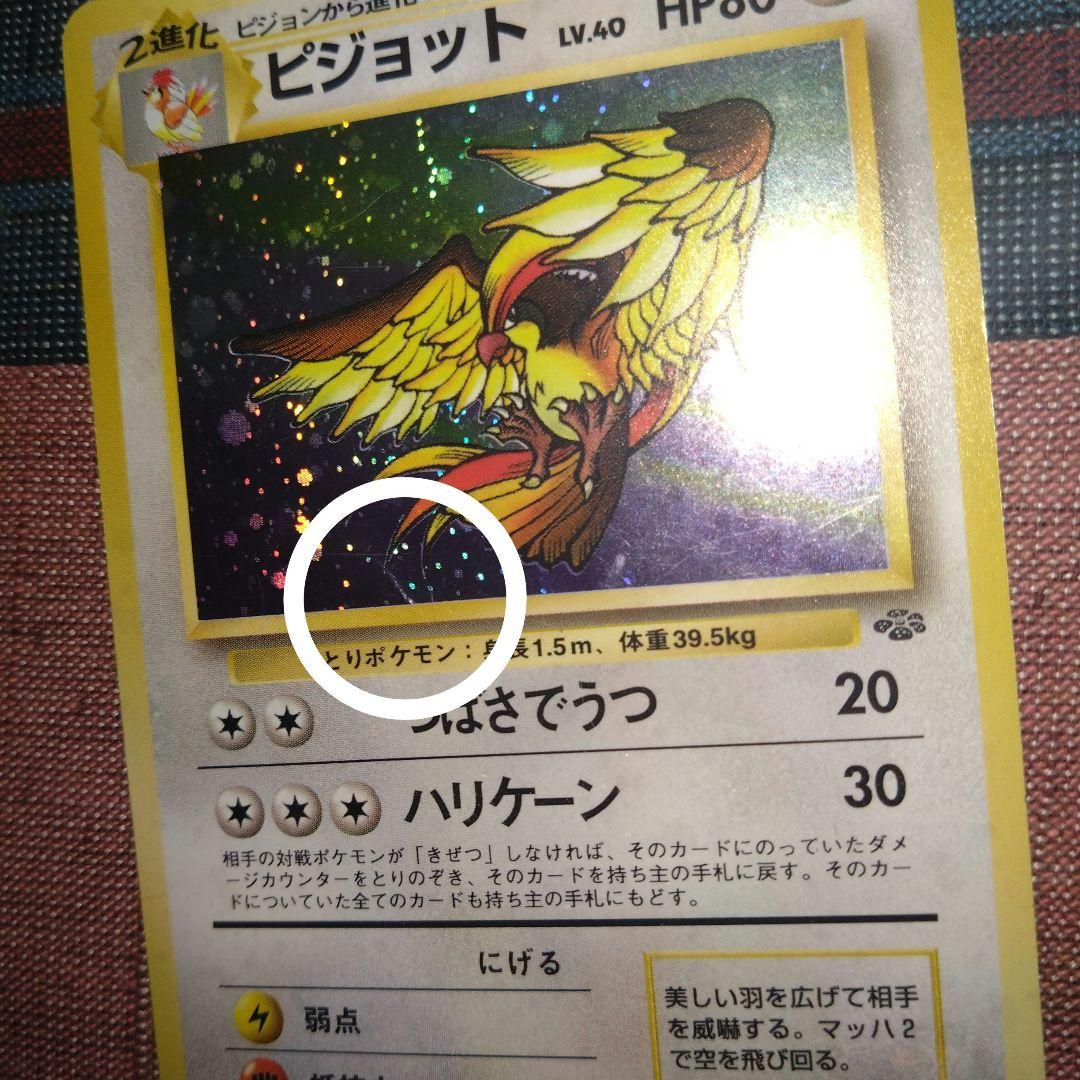 【旧裏】ポケカ　エリカのハクリュー　ギャラドス　ソーナンス　マークあり　まとめ