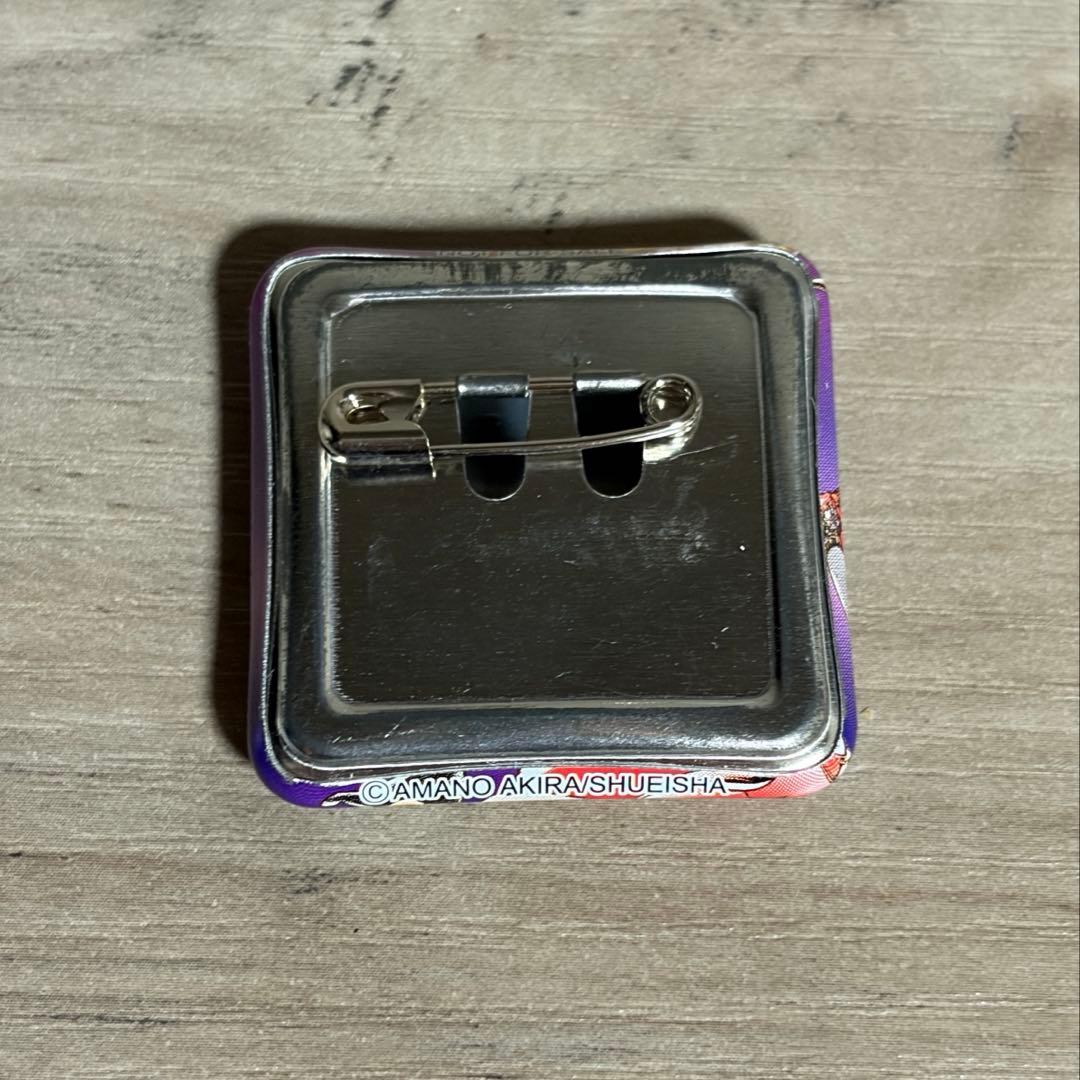 家庭教師ヒットマンREBORN! ジャンプショップ 缶バッジ JUMPSHOP