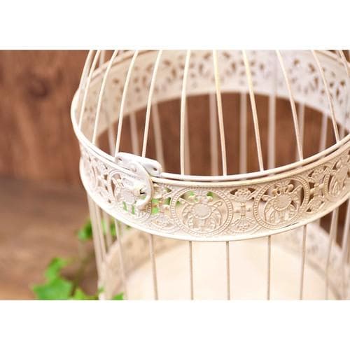 インテリア鳥かご MLセット バードケージ (ラウンド WH) フローリスト 白